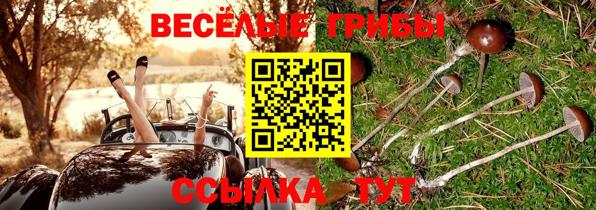 Псилоцибиновые грибы прущие грибы Пугачёв