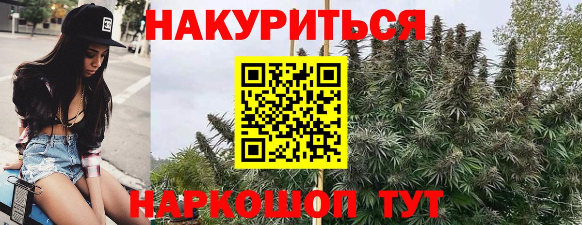Бошки марихуана план Пугачёв